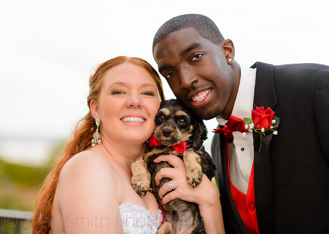 pet_wedding_plan10