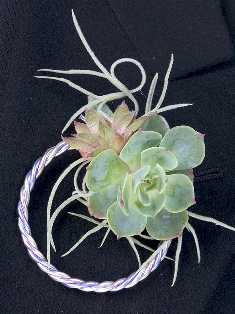 wedding_succulent10