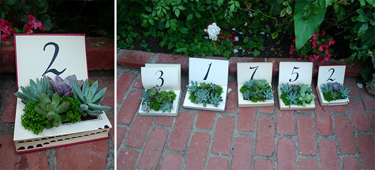 wedding_succulent11