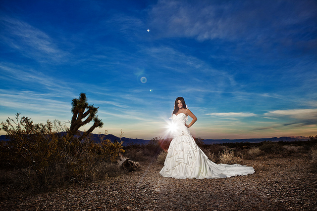 wedding_traveler