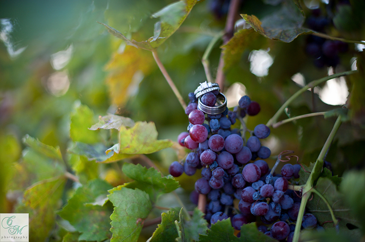 wine_theme03